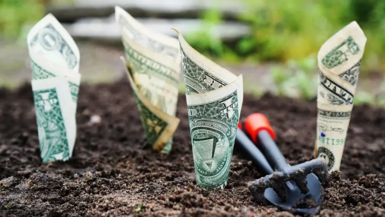 Hábitos Financeiros Saudáveis para Melhorar Sua Vida