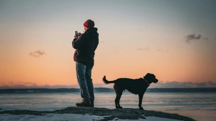 Melhores Investimentos em 2026