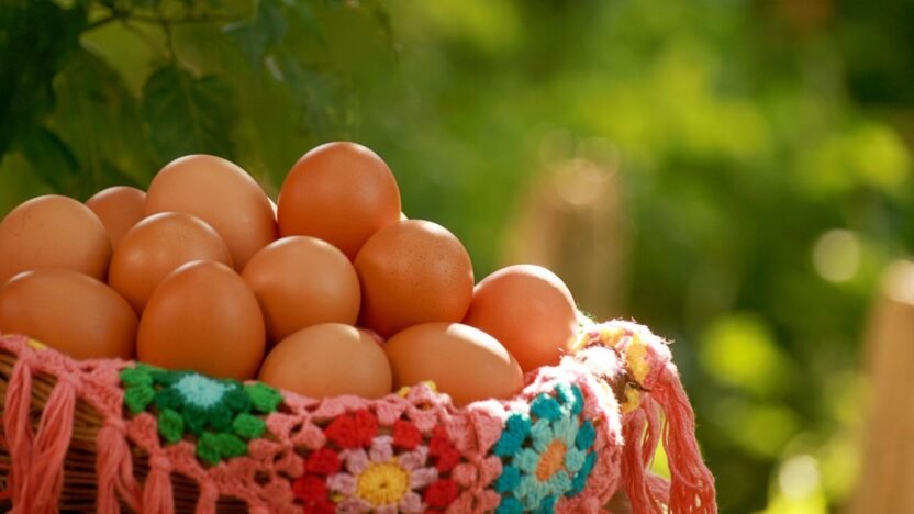 Como Investir em Renda Variável com Segurança Mesmo Sendo Iniciante
