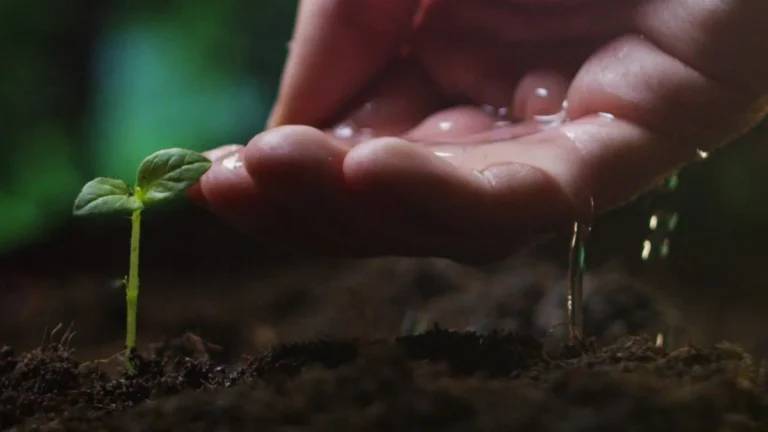 Como Fazer uma Estrutura Financeira Eficiente para o Longo Prazo