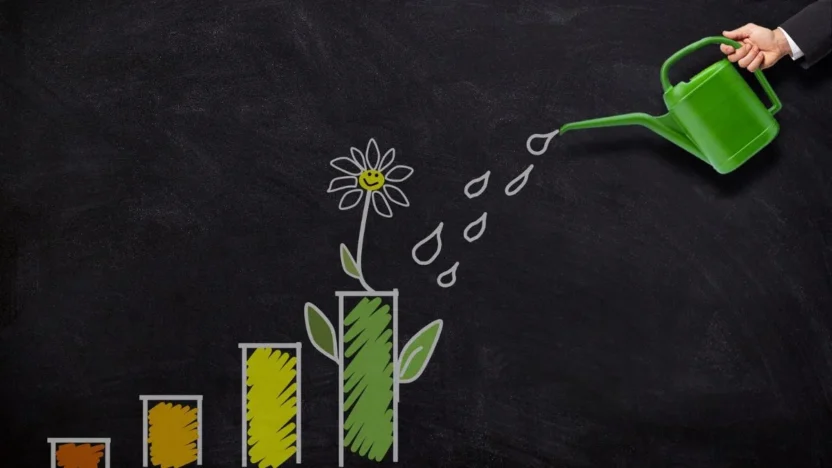 Educação financeira na prática